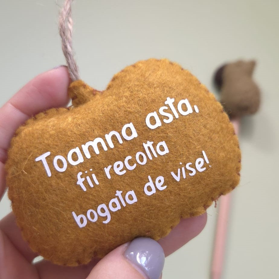 Decorațiune de toamnă din fetru – Dovleac cu mesaj motivațional