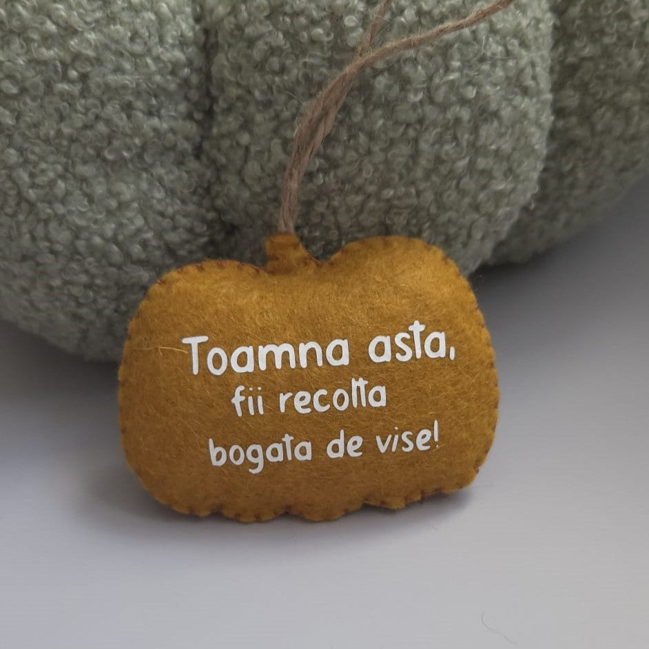 Decorațiune de toamnă din fetru – Dovleac cu mesaj motivațional