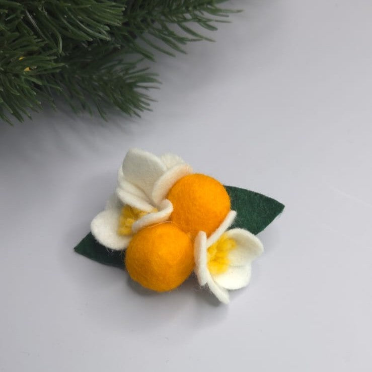 Clama Portocala de iarna