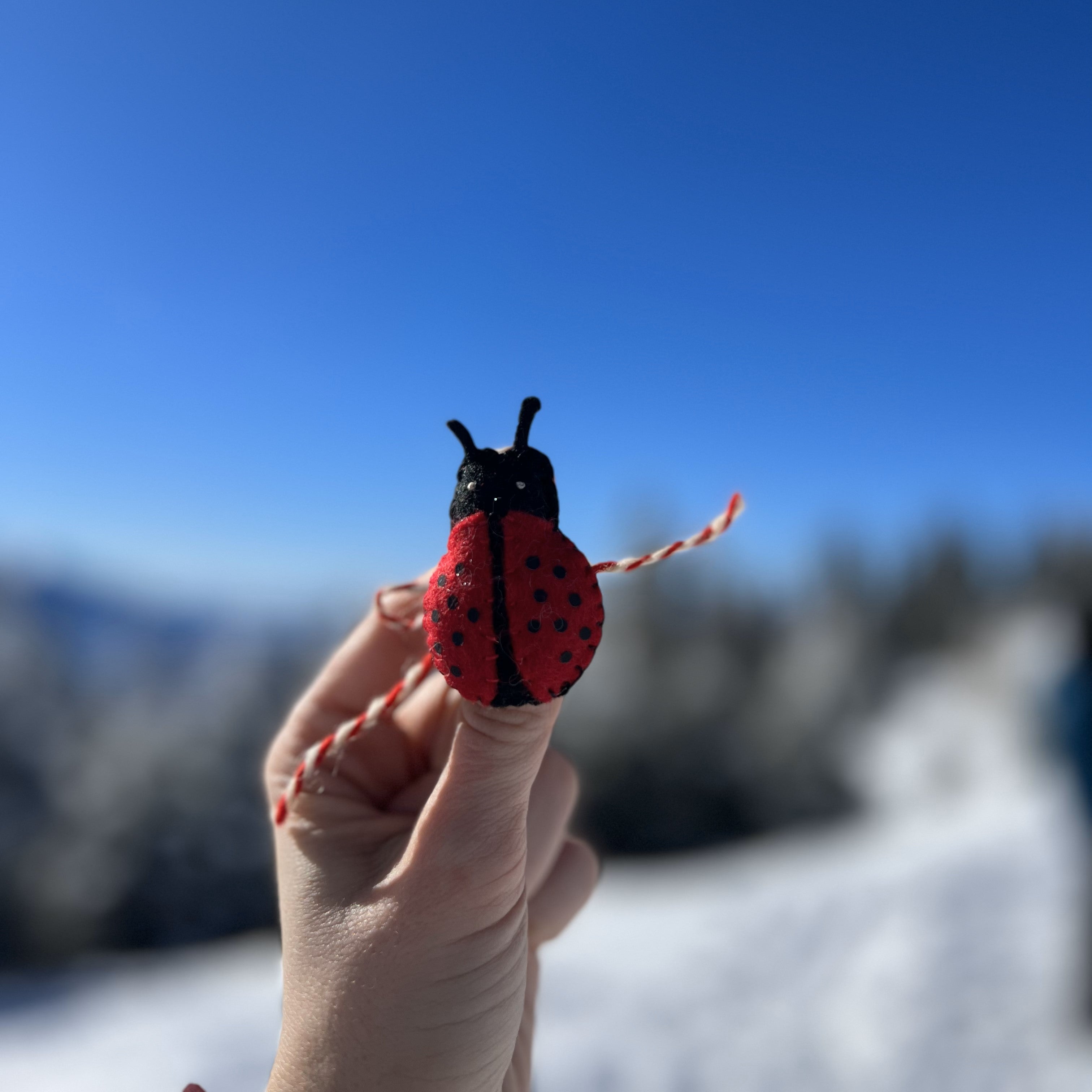 Mărțișor buburuză din fetru de lână – simbol al norocului