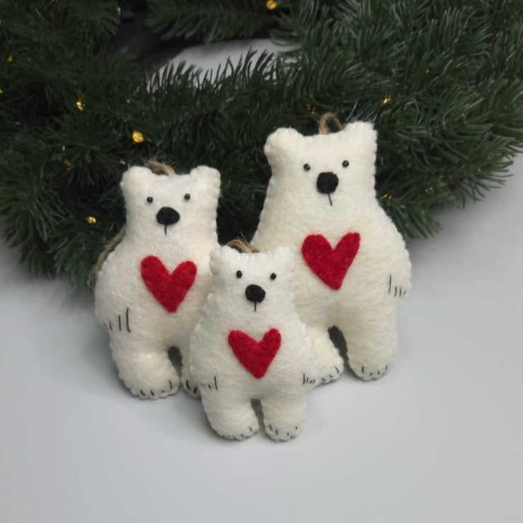 Set Familie de Ursi iubitori