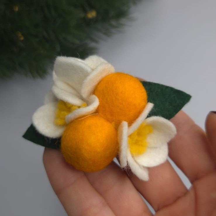 Clama Portocala de iarna