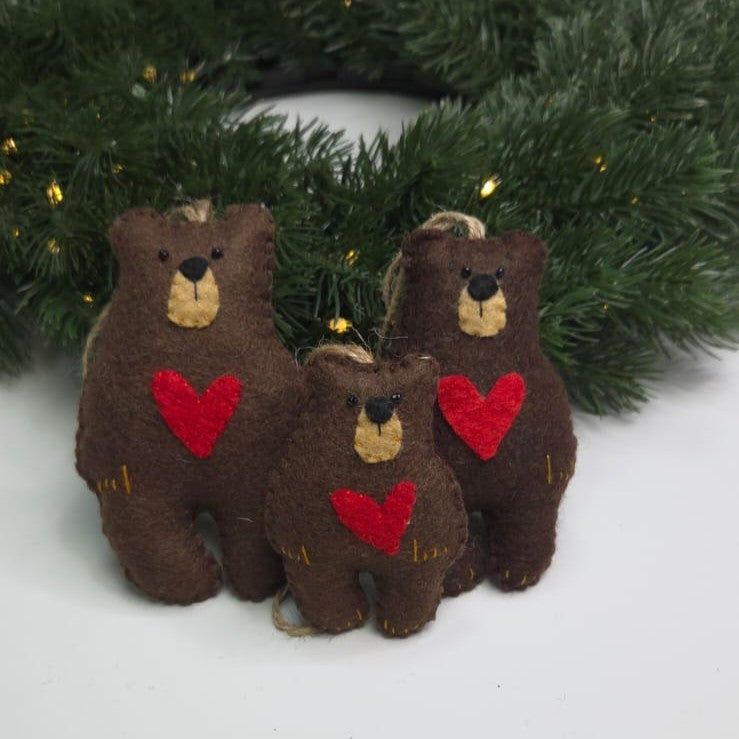 Set Familie de Ursi iubitori